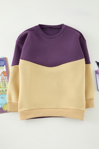 TRENDYOLKIDS Jongens Paars Colorblock Lang Regular fit Sweatshirts