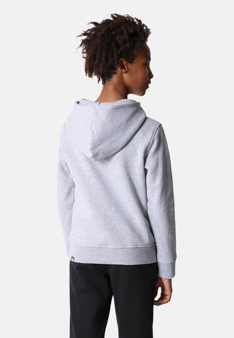 The North Face Kids Drew Peak Overhead Hoodie in Grijs - Image 3