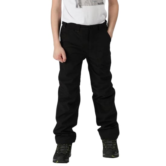 Regatta Great Outdoors Kinder/Kids Dayhike II Stretch Broek (Zwart) - Image 1