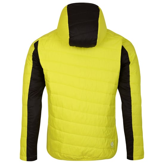 Dare 2B Mens Touring Padded Jacket (Neon Spring/Dark Storm)