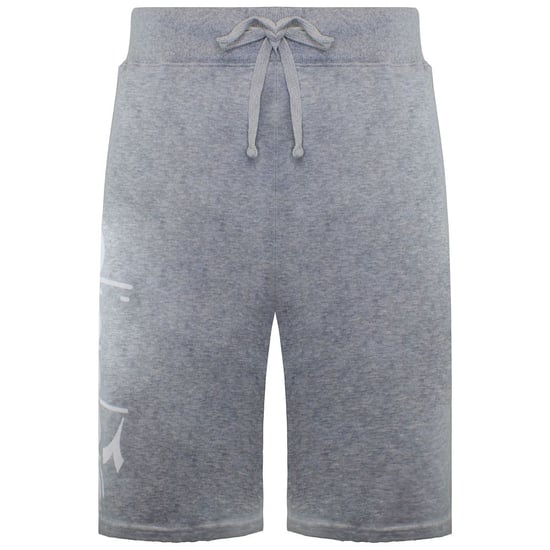 Diadora Logo Heren Grijs Korte Broek - Image 1