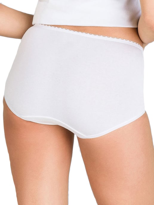 Basic 95% Cotton Lift Maxi Brief