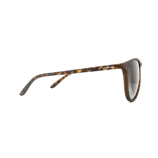 Polaroid Cat Eye Womens Havana Brown Gradient Polarized Sunglasses