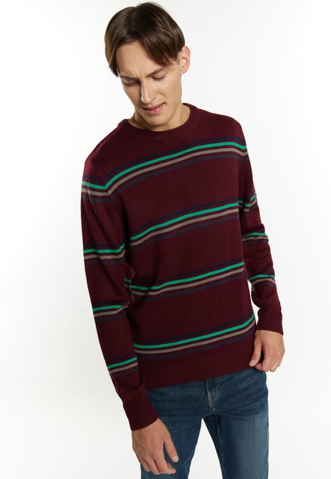 Mo Jumper Heren Bordeaux veelkleurig - Image 3