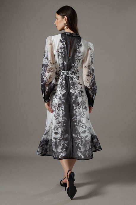 Boarder Printed Organza Shirt Dress