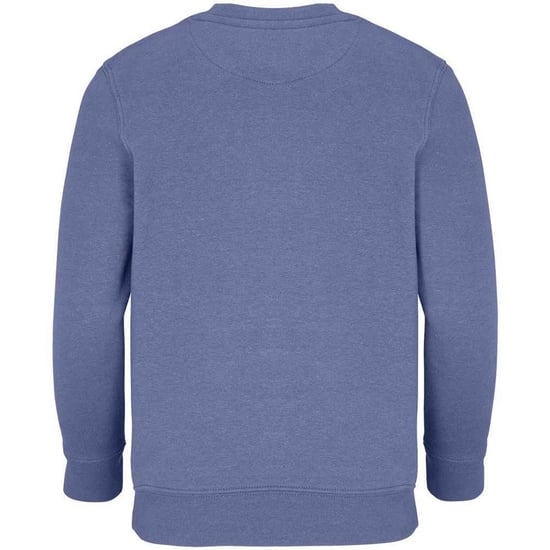 SOLS Childrens/Kids Columbia Sweatshirt (Blue)