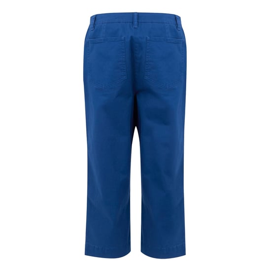 Regatta Dames/Dames Bayletta Capri Broek (Helderste blauw) - Image 2