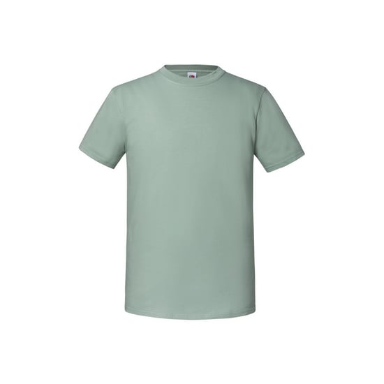 Fruit of the Loom Heren Iconic Premium Ringspun Katoen T-Shirt (Salie) - Image 1