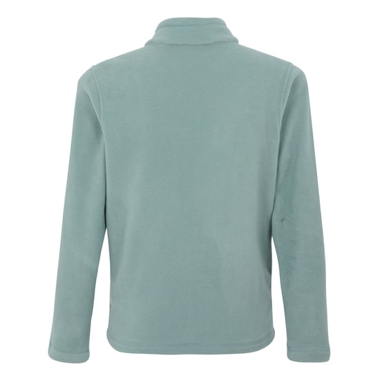 Regatta - Geweldige Outdoors Kinder Hot Shot II Half Zip Fleece Hoodie (Gletsjer) - Image 2