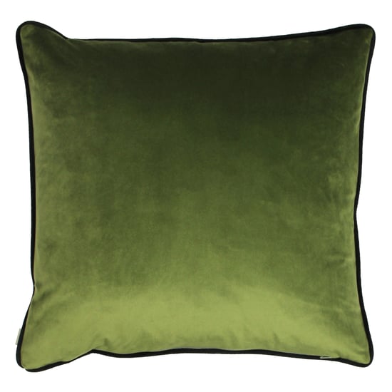 Evans Lichfield Midnight Garden Bee Piped Floral Square Feather Filled Cushion