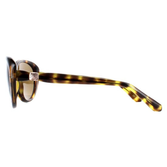 Ted Baker Oval Womens Havana Brown Gradient TB1315 Cougar