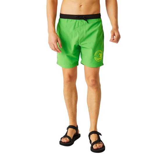 Regatta Mens Bentham Swim Shorts (Fairway Green/Black)