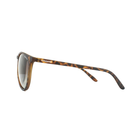Polaroid Cat Eye Womens Havana Brown Gradient Polarized Sunglasses