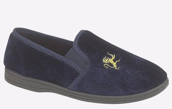Sleepers Kyle Lion Motif Twin Gusset Junior