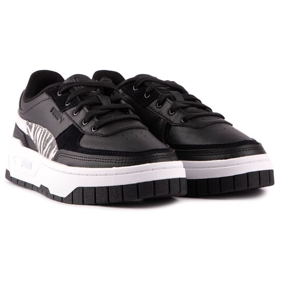 Puma Cali Dream Animal Trainers