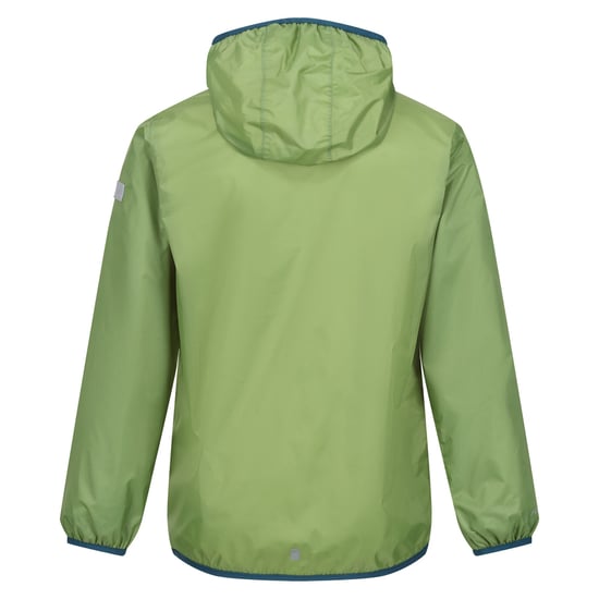 Regatta Groot Buitenshuis Kinderen/Kinderen Lever II Packaway Rain Jacket (Pikant groen) - Image 2