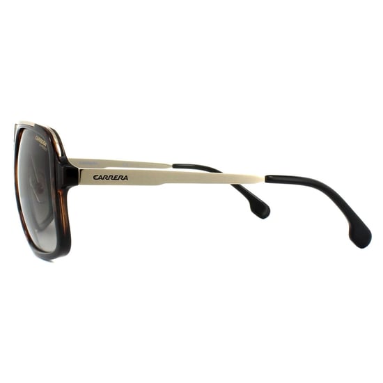 Carrera Square Unisex Havana Gold Brown Gradient Sunglasses