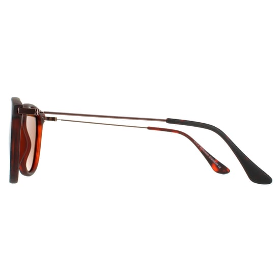 Montana Round Unisex Havana Rubbertouch Brown Polarized MP33 Sunglasses