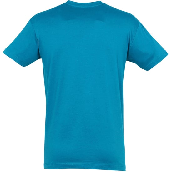 SOLS Heren Regent T-Shirt met korte mouwen (Blauw Atol) - Image 2