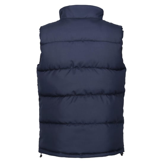 Regatta Mens Northdale Insulated Gilet (Navy)