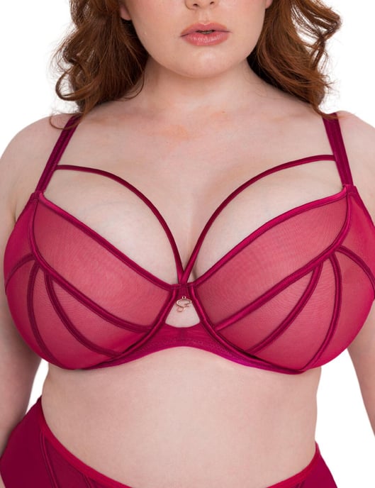 Scantilly by Curvy Kate Senses Plunge Bra - Cherry