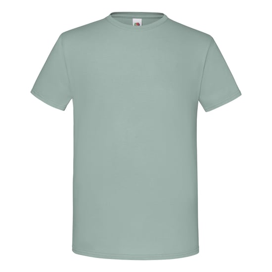 Fruit of the Loom Heren Iconisch 150 T-Shirt (Salie) - Image 1