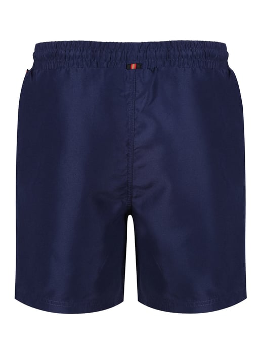 Luke 1977 Men's Side On Swim Shorts in Navy
