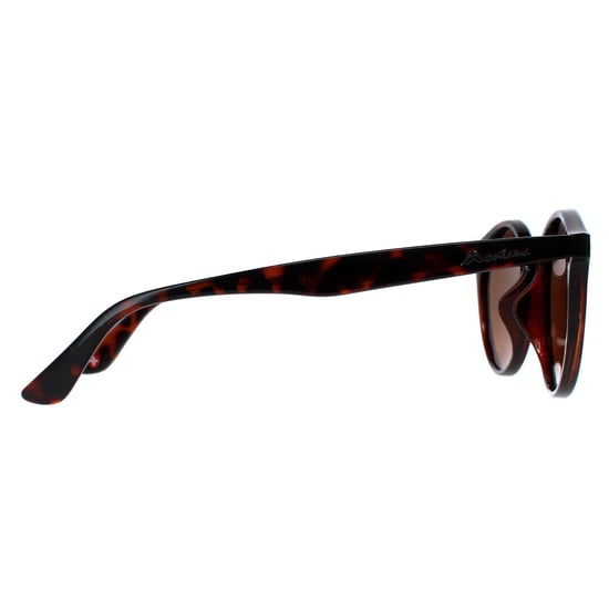 Montana Round Unisex Tortoise Brown Polarized MP20B