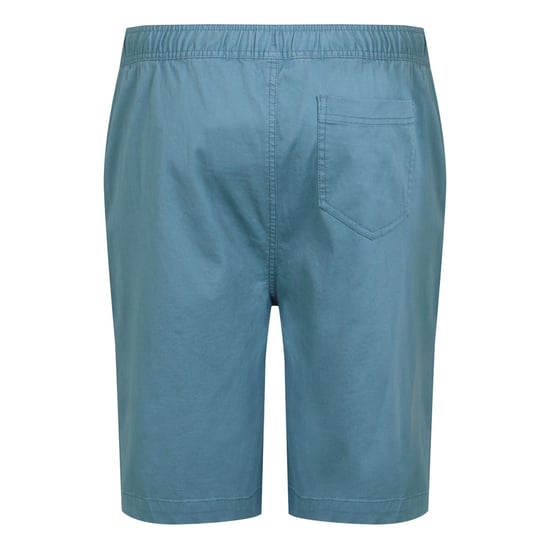 Regatta Heren Aldan Chino Korte Broek (Koronet Blauw) - Image 2