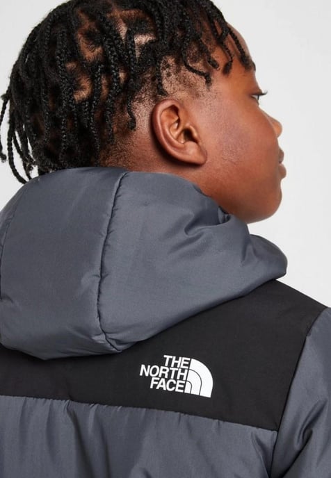 The North Face Licht synthetisch jack junior in vanadisgrijs - Image 4