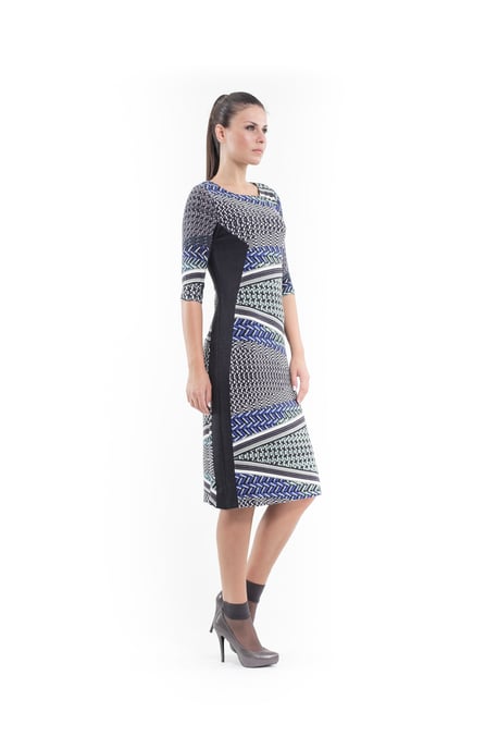 Print and Panel Stretch Dress