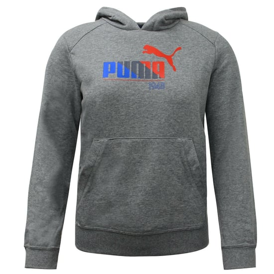 Puma TD Graphic Grijze Hoodie - Image 1