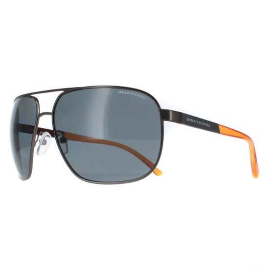 Armani Exchange Aviator Unisex Grey Grey Polarized AX2040S