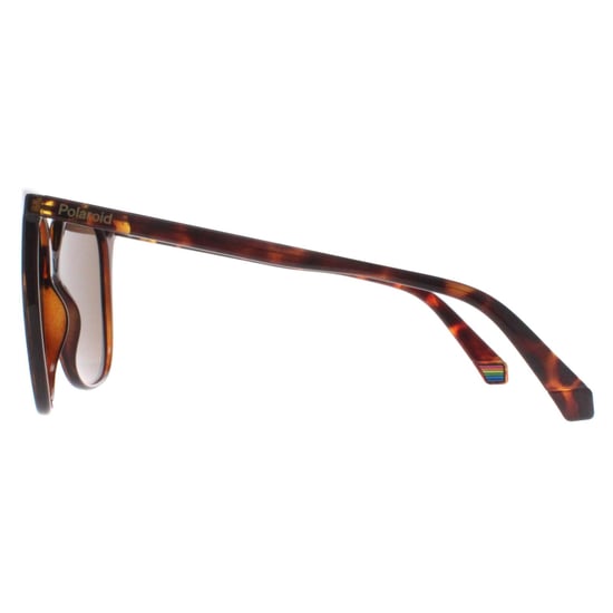 Polaroid Square Womens Havana Bronze Polarized PLD 6218/S