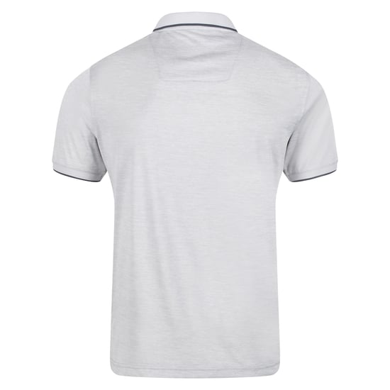 Regatta Mens Remex II Polo Shirt (Silver Grey)