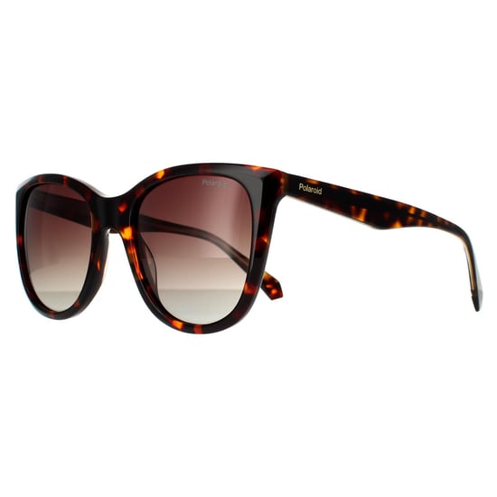 Polaroid Square Dames Havana Bruin Bruin Gradient Gepolariseerd - Image 2