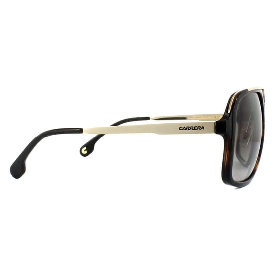 Carrera Square Unisex Havana Gold Brown Gradient Sunglasses