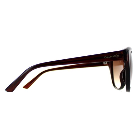 Calvin Klein Cat Eye Womens Crystal Brown  Brown CK19536S