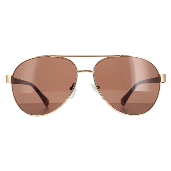 Calvin Klein Aviator Mens Gold Brown CK19316S