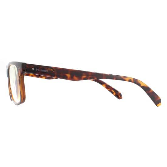 Polaroid Rectangular Havana Unisex Women Glasses Frames