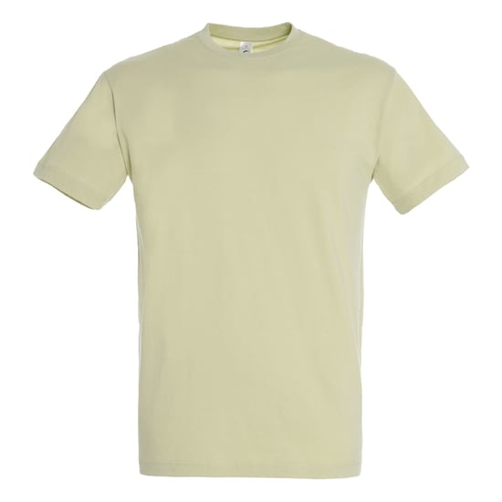 SOLS Unisex Regent T-shirt voor volwassenen (Salie Groen) - Image 1