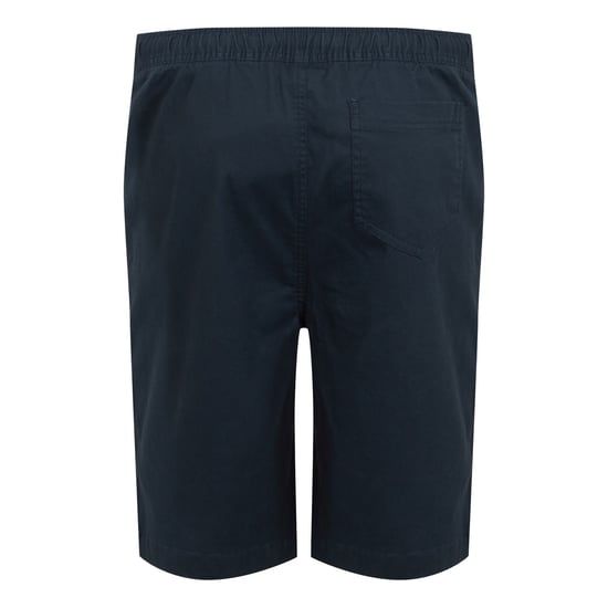 Regatta Heren Aldan Chino Korte Broek (Marine) - Image 2