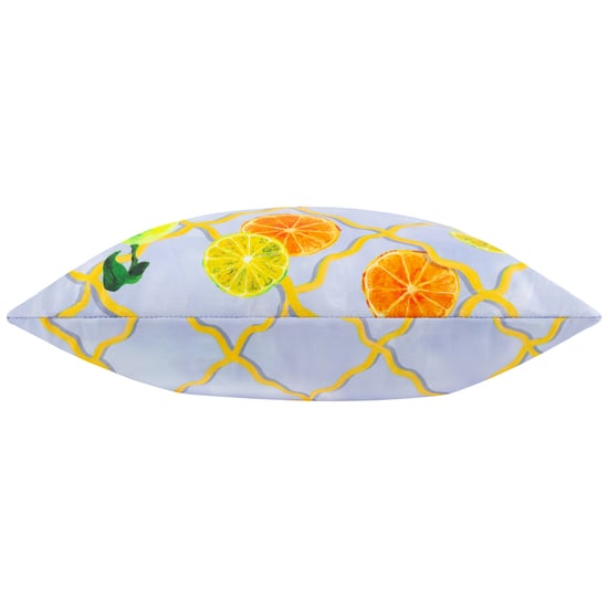 Wylder Nature Citrus Trellis Gedrukte Buiten Kussenhoes - Image 3