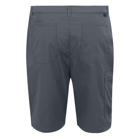 Regatta Heren Dalry Multi Pocket Korte Broek (Afdichting Grijs) - Image 2