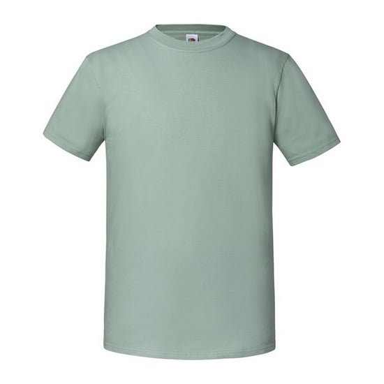 Fruit Of The Loom Mens Ringgesponnen Premium Tshirt (Salie) - Image 1