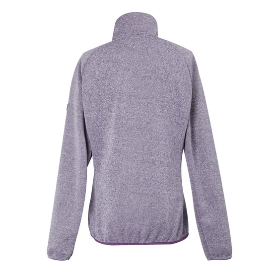 Regatta Womens/Ladies Ravenhill Full Zip Fleece Top (Lilac Frost/Sunset Purple)