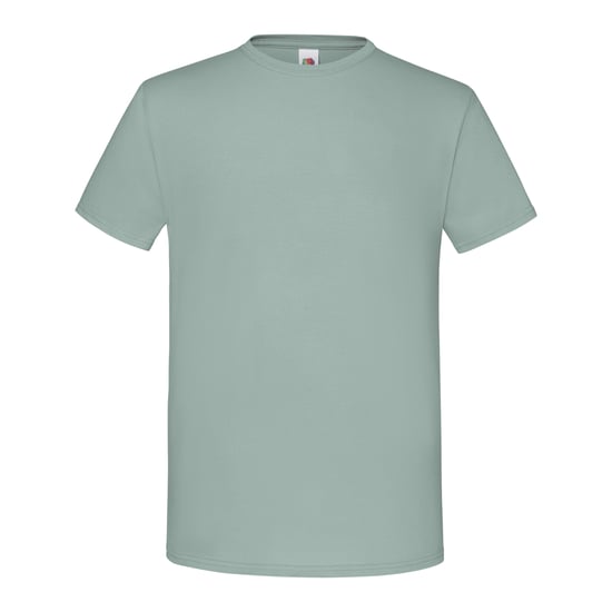 Fruit Of The Loom Heren Iconisch T-shirt (Salie) - Image 1