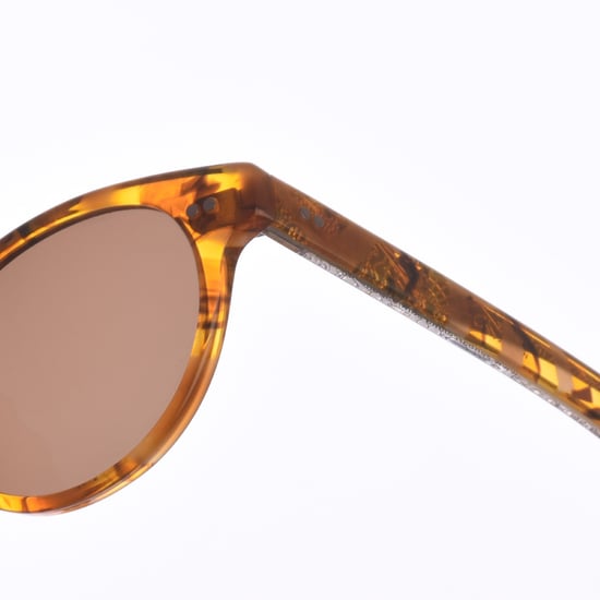 Unisex Z448 Pantos Shape Acetate Sunglasses