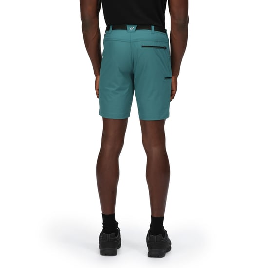 Regatta Heren Xert III Stretch Shorts (Pacifisch Groen) - Image 5