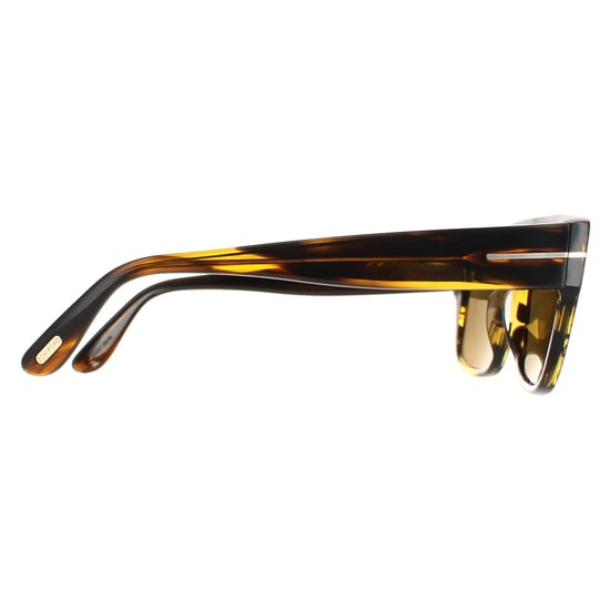 Tom Ford zonnebril Dunning FT0907 48J Tortoise Brown - Image 4